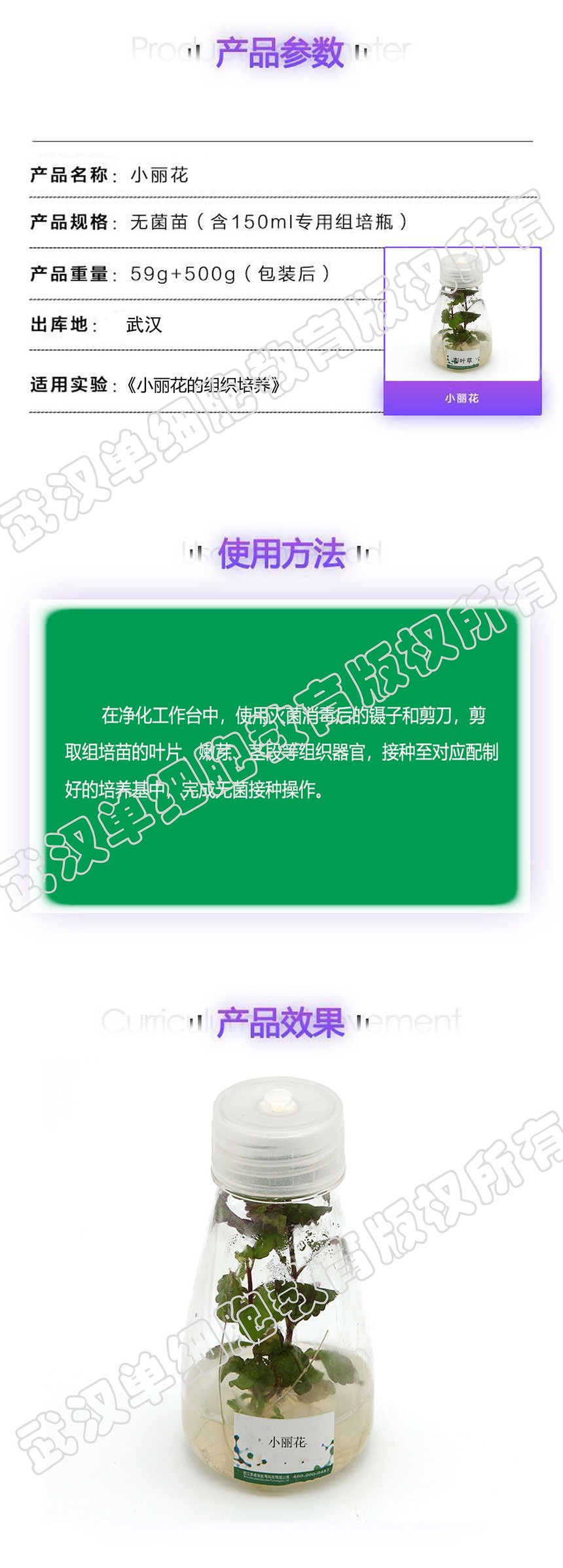 С����ҳ�渱��.jpg