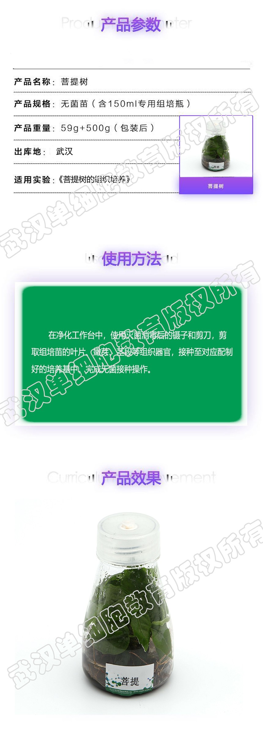 ������ҳ�渱��.jpg