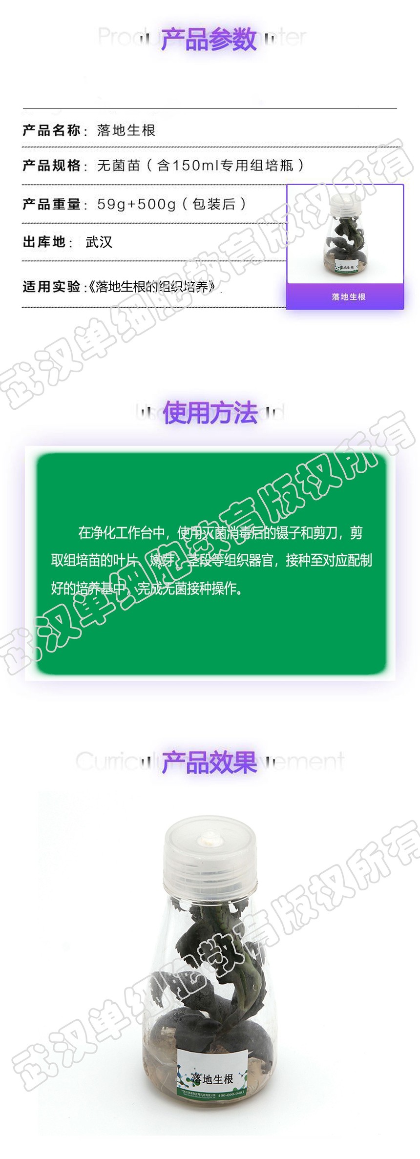 �������ҳ�渱��.jpg
