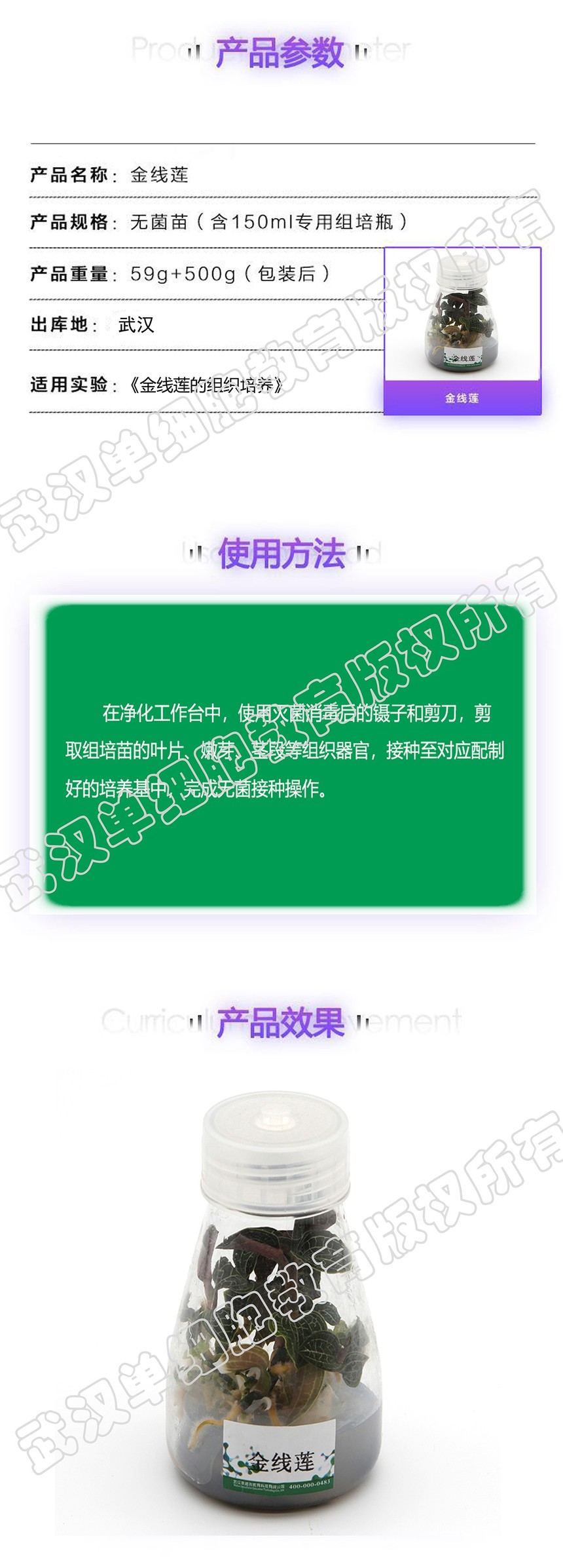 ������ҳ�渱��.jpg