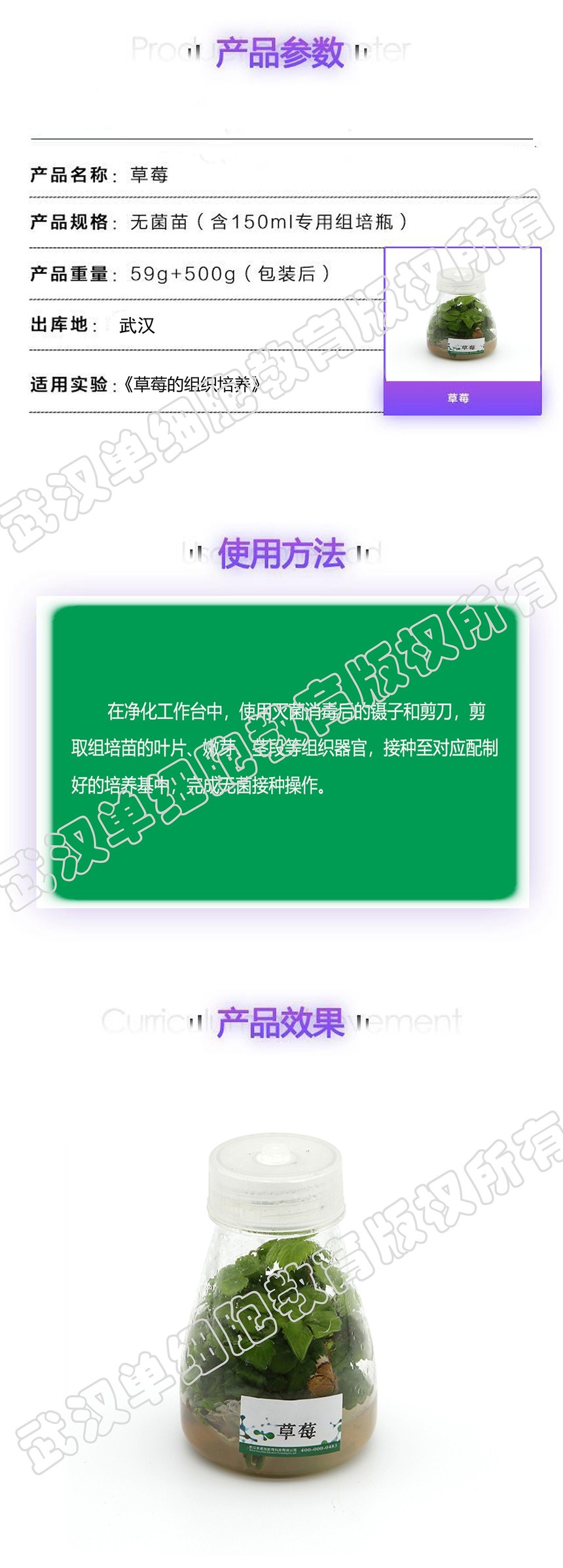 ��ݮҳ�渱��.jpg