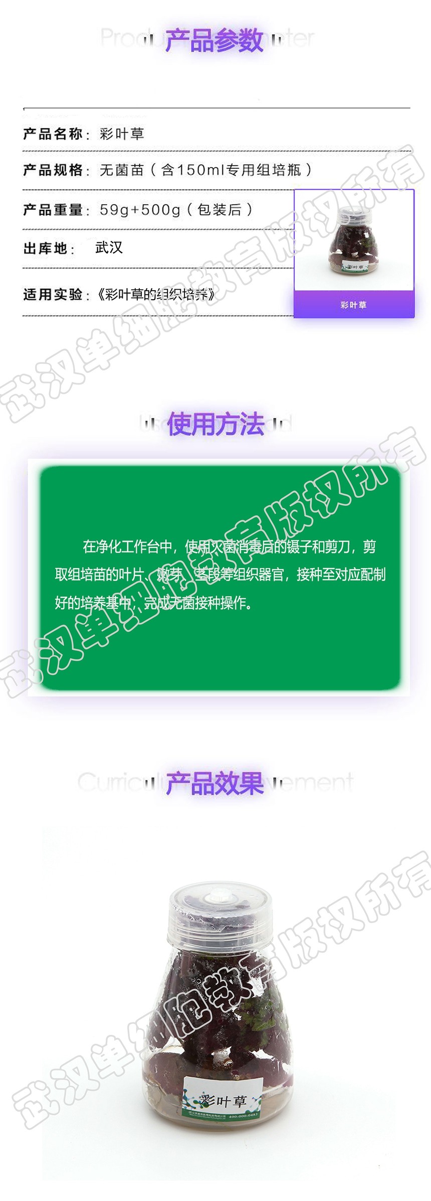 ��Ҷ��ҳ�渱��.jpg