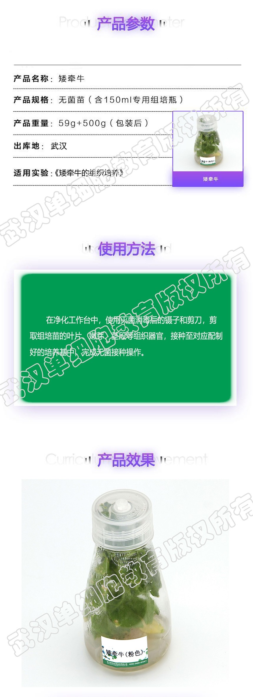 ��ǣţҳ�渱��.jpg