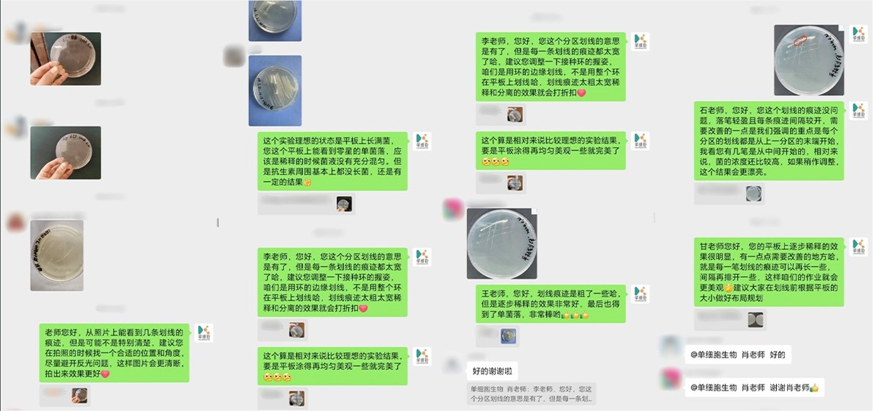 1716788886312624.jpg