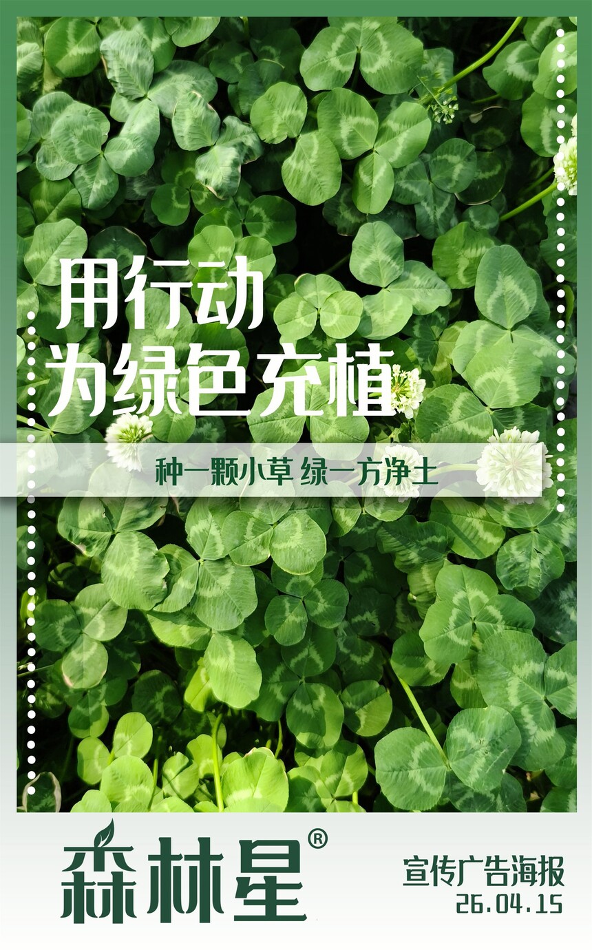 ɭ����35���ᳫ��ɫ��������.jpg
