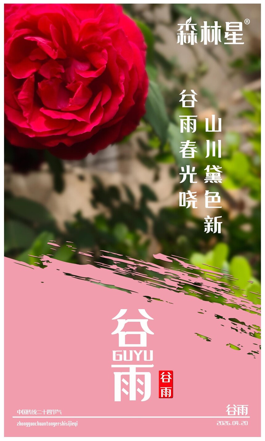 ɭ����ˮ�� �����ʮ�Ľ���.jpg