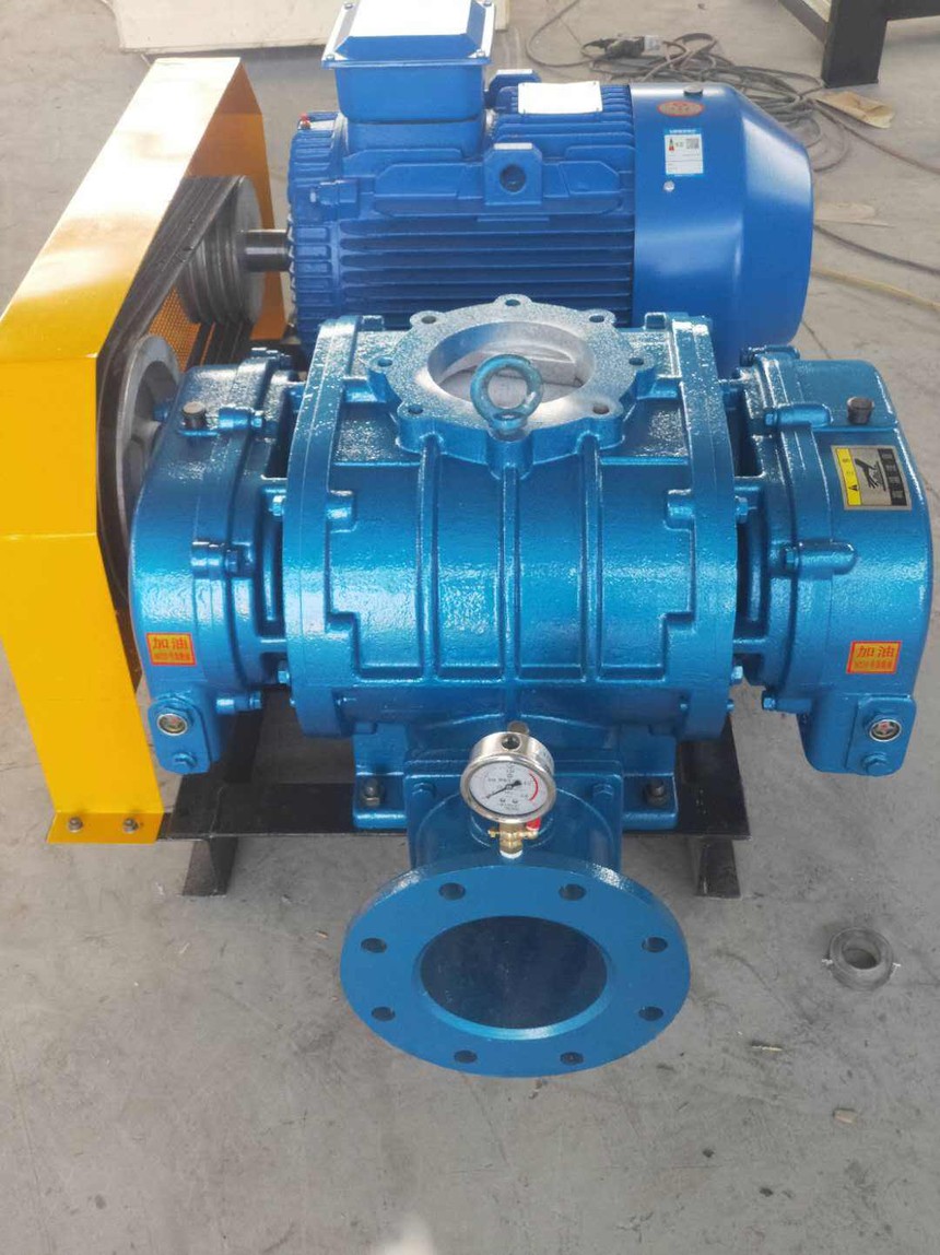 timg29E1RYJN.jpg