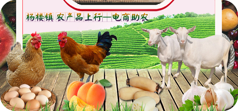 768X360-112.png
