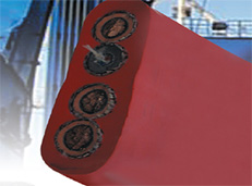 537b0e12b724b.jpg