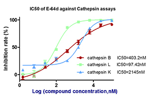 Cell-based Cathepsin Assay for irreversible inhibitors