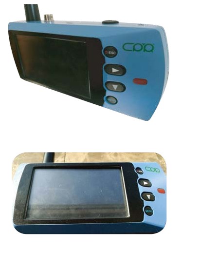 CD10 .png