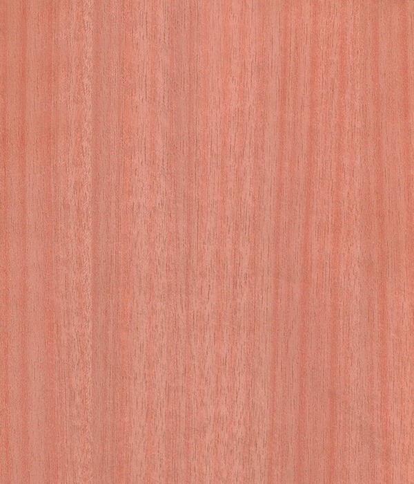 1-1P320232KEP.JPG