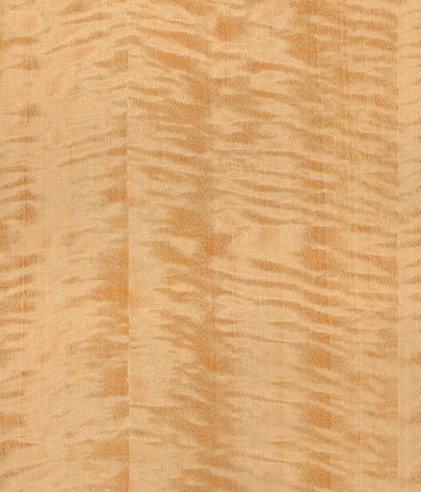 1-1P320232919163.JPG