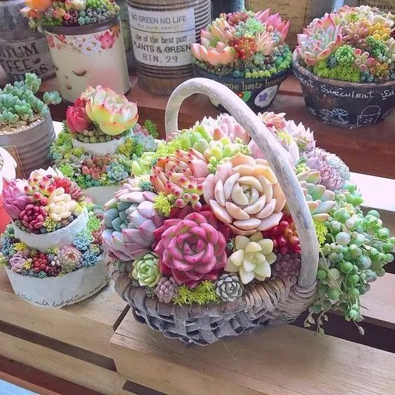 1587971452499807.png 1587971452499807.png