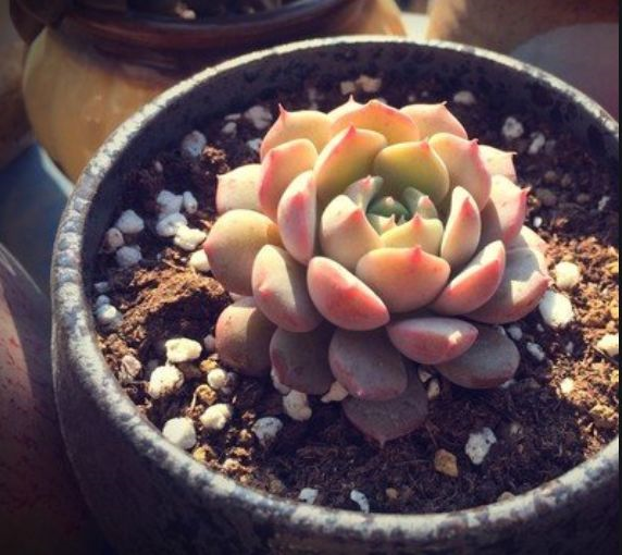 1587994447761367.png 1587994447761367.png