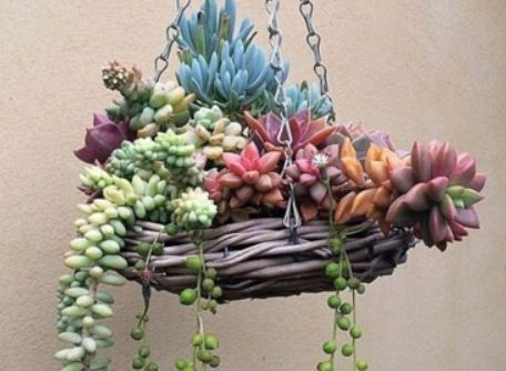 1587994476650092.png 1587994476650092.png