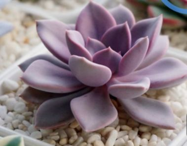 1587994489500827.png 1587994489500827.png