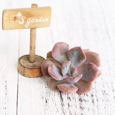 1587994499260007.png 1587994499260007.png