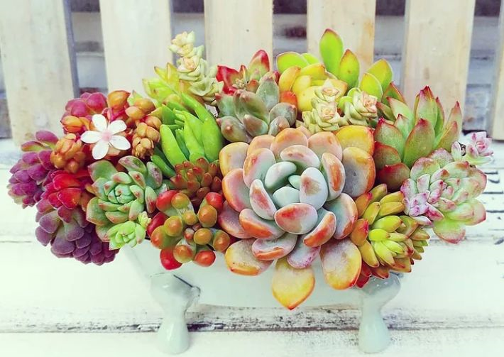 1587994519668391.png 1587994519668391.png