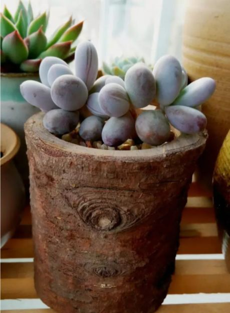 1587994543110803.png 1587994543110803.png