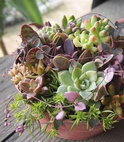 1587994570502559.png 1587994570502559.png