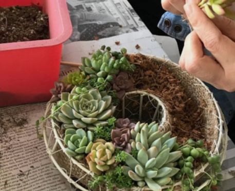 1587994597174315.png 1587994597174315.png