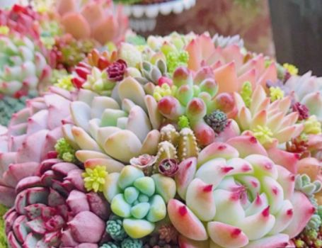 1587994619951240.png 1587994619951240.png