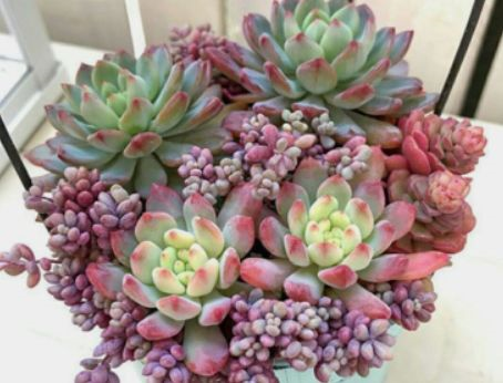 1587994629458485.png 1587994629458485.png