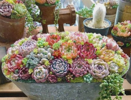 1587994638820182.png 1587994638820182.png