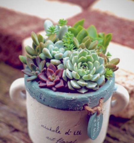 1587994647576140.png 1587994647576140.png