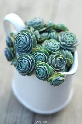 1587994666397973.png 1587994666397973.png