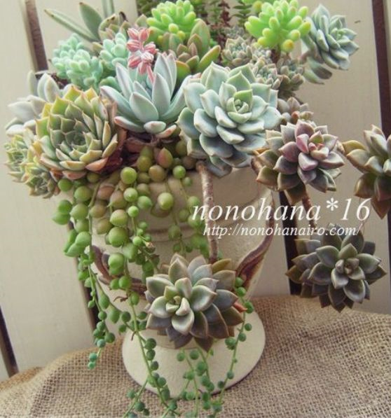 1587994675465547.png 1587994675465547.png