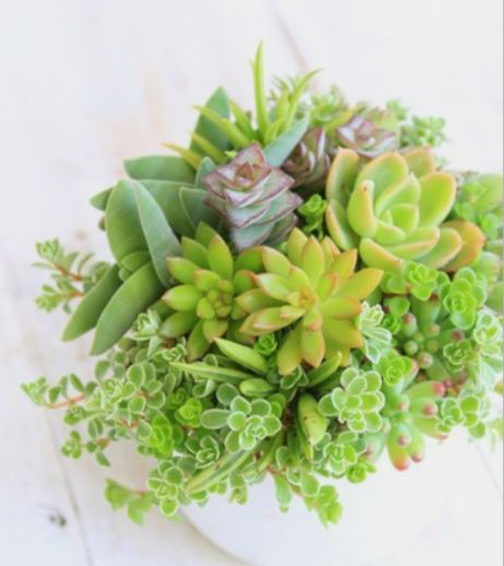 1587994684765117.png 1587994684765117.png