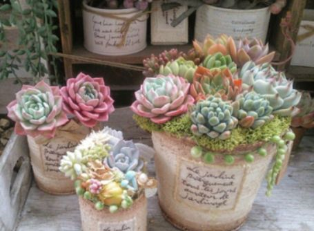 1587994692699130.png 1587994692699130.png