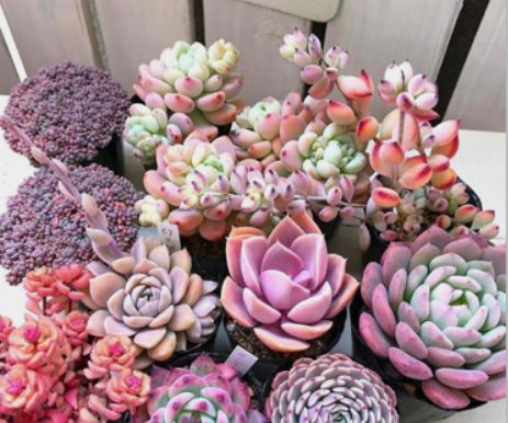 1587994713549078.png 1587994713549078.png