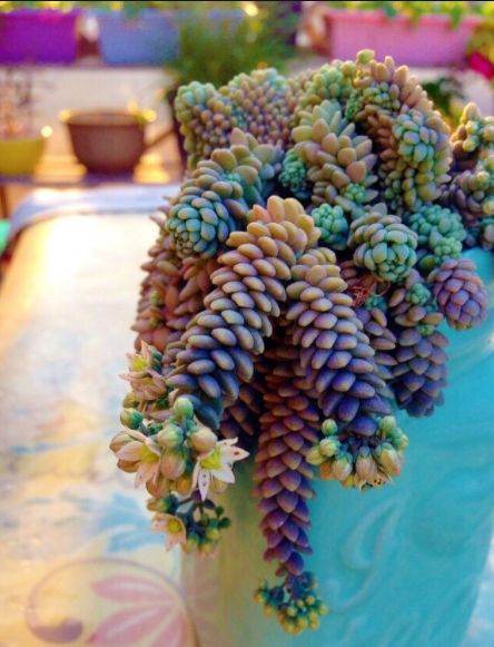 1587994738875012.png 1587994738875012.png