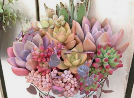 1587994748634861.png 1587994748634861.png