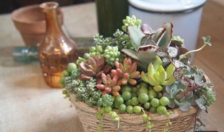 1587994756698635.png 1587994756698635.png