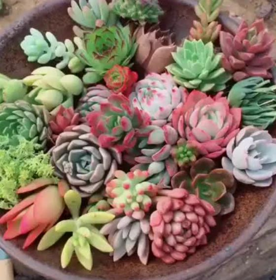 1587994784111397.png 1587994784111397.png