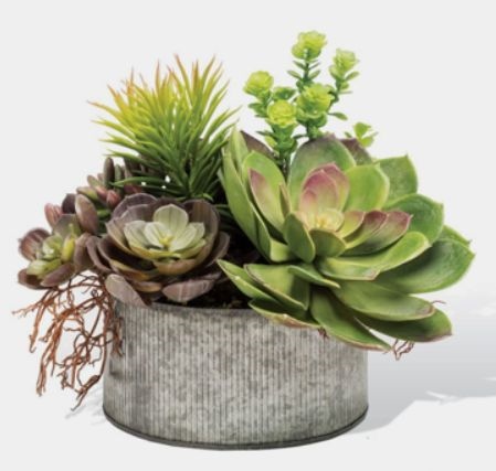 1587994793687944.png 1587994793687944.png