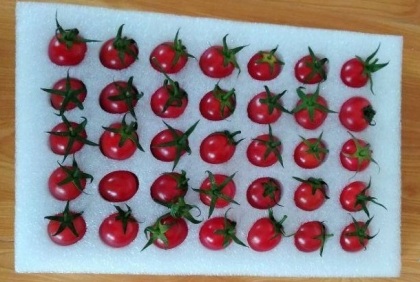 1749697909676258.jpg 9.jpg