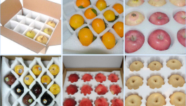 1761619959117096.jpg 11.jpg