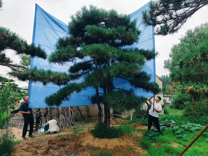 ͺ (23).jpg
