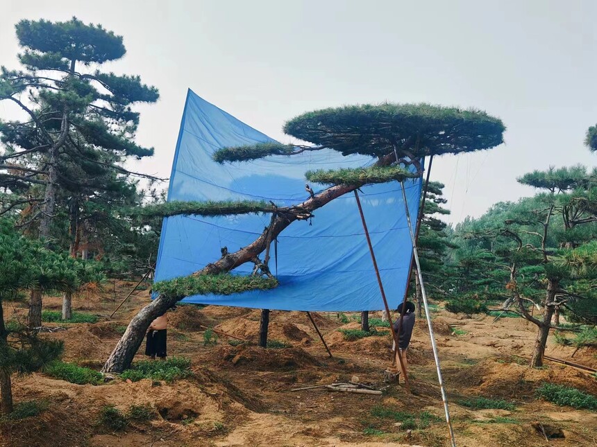 ͺ (24).jpg