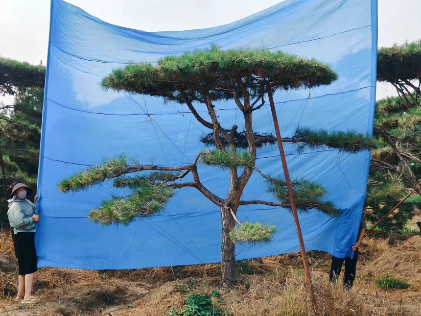  (30).jpg