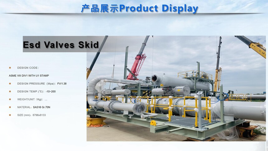 Tianjin Jiusheng Machinery & Equipment Manufacturing-SKIDS_01.jpg