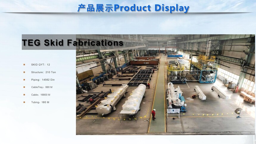 Tianjin Jiusheng Machinery & Equipment Manufacturing-SKIDS_01(3).jpg