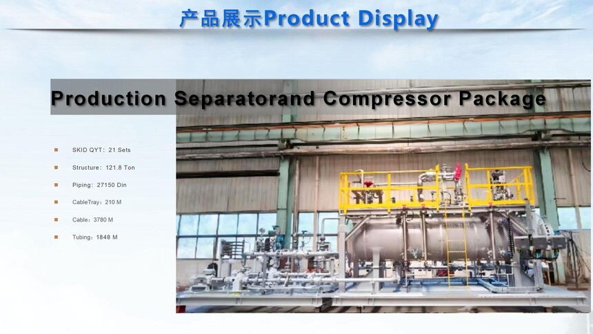 Tianjin Jiusheng Machinery & Equipment Manufacturing-SKIDS_01(6).jpg