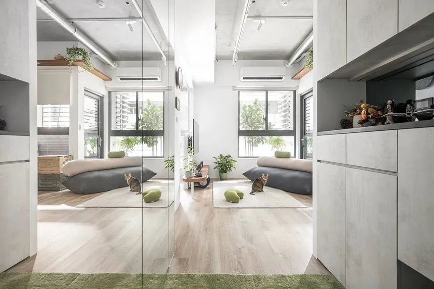 1641196346804151.jpeg 1641196346804151.jpeg