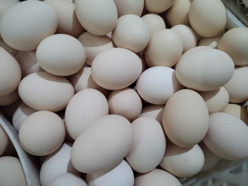 1748417306633424.jpg ea814fedf2797624366d48eea4d47a6.jpg